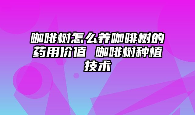 咖啡树怎么养咖啡树的药用价值 咖啡树种植技术