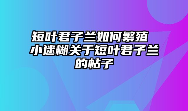 短叶君子兰如何繁殖 小迷糊关于短叶君子兰的帖子