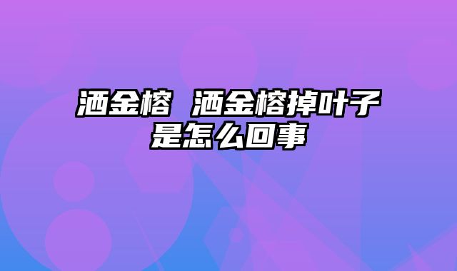 洒金榕 洒金榕掉叶子是怎么回事