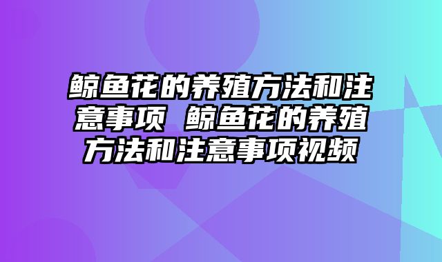 鲸鱼花的养殖方法和注意事项 鲸鱼花的养殖方法和注意事项视频