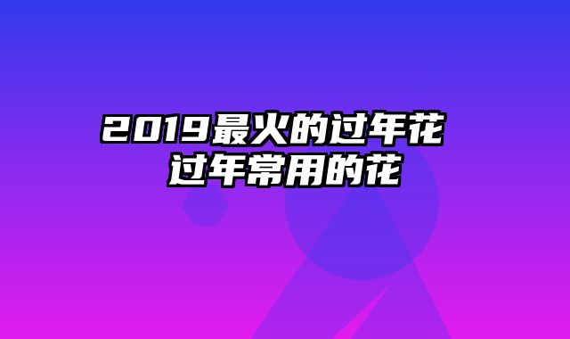 2019最火的过年花 过年常用的花