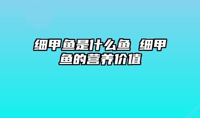 细甲鱼是什么鱼 细甲鱼的营养价值