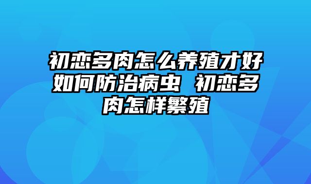 初恋多肉怎么养殖才好如何防治病虫 初恋多肉怎样繁殖