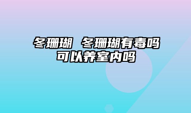 冬珊瑚 冬珊瑚有毒吗可以养室内吗