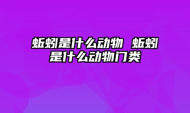 蚯蚓是什么动物 蚯蚓是什么动物门类