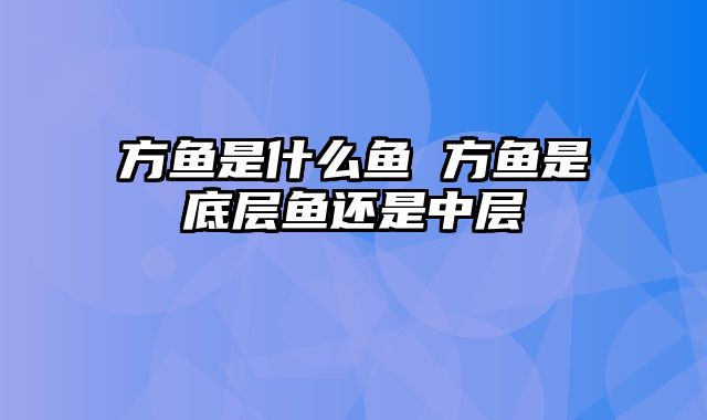 方鱼是什么鱼 方鱼是底层鱼还是中层