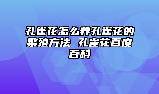 孔雀花怎么养孔雀花的繁殖方法 孔雀花百度百科