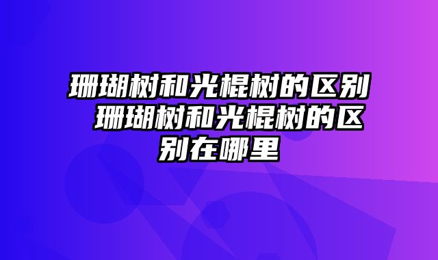 珊瑚树和光棍树的区别 珊瑚树和光棍树的区别在哪里