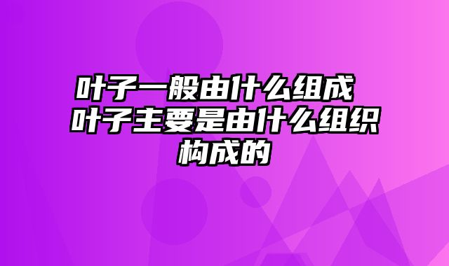 叶子一般由什么组成 叶子主要是由什么组织构成的