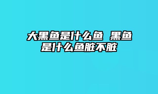 大黑鱼是什么鱼 黑鱼是什么鱼脏不脏