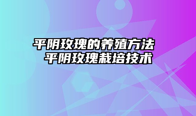 平阴玫瑰的养殖方法 平阴玫瑰栽培技术