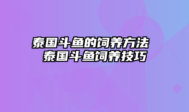 泰国斗鱼的饲养方法 泰国斗鱼饲养技巧