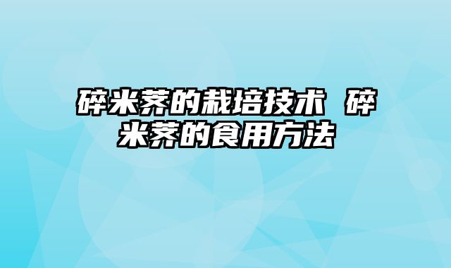 碎米荠的栽培技术 碎米荠的食用方法