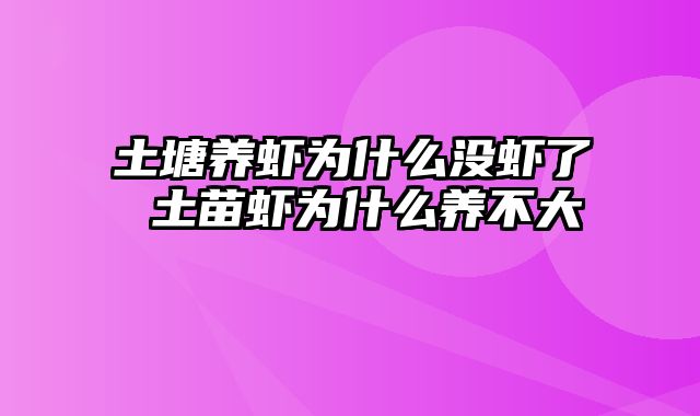 土塘养虾为什么没虾了 土苗虾为什么养不大