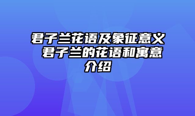 君子兰花语及象征意义 君子兰的花语和寓意介绍