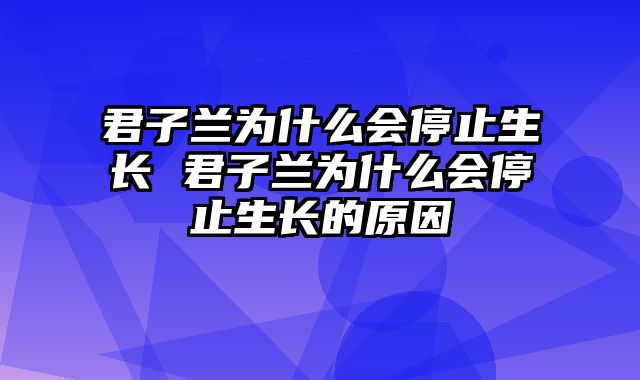 君子兰为什么会停止生长 君子兰为什么会停止生长的原因