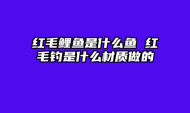 红毛鲤鱼是什么鱼 红毛钓是什么材质做的