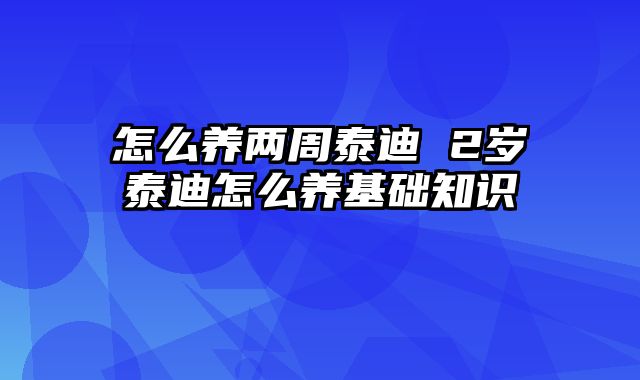 怎么养两周泰迪 2岁泰迪怎么养基础知识