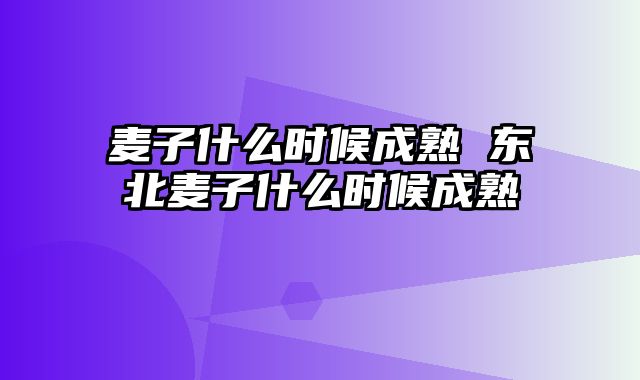 麦子什么时候成熟 东北麦子什么时候成熟