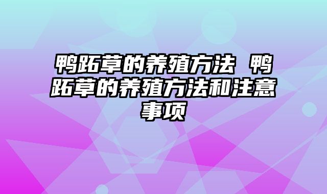 鸭跖草的养殖方法 鸭跖草的养殖方法和注意事项