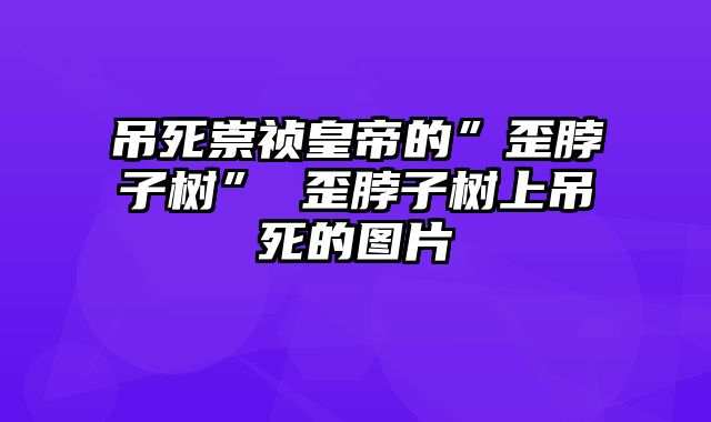 吊死崇祯皇帝的”歪脖子树” 歪脖子树上吊死的图片