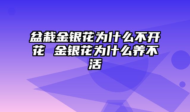 盆栽金银花为什么不开花 金银花为什么养不活