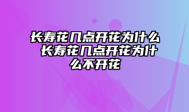 长寿花几点开花为什么 长寿花几点开花为什么不开花