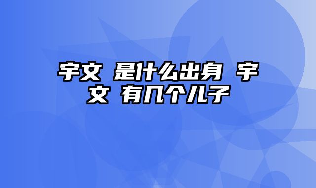 宇文赟是什么出身 宇文赟有几个儿子