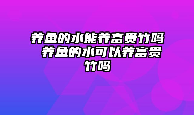 养鱼的水能养富贵竹吗 养鱼的水可以养富贵竹吗