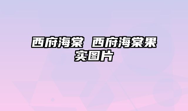 西府海棠 西府海棠果实图片