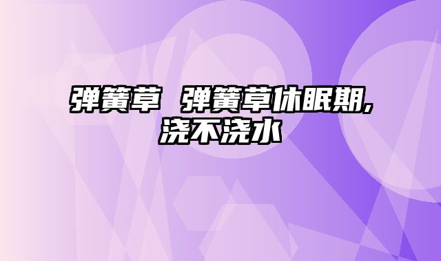 弹簧草 弹簧草休眠期,浇不浇水