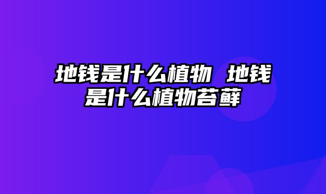 地钱是什么植物 地钱是什么植物苔藓