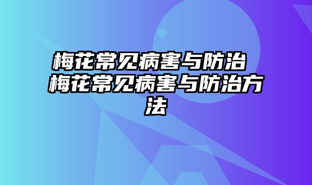 梅花常见病害与防治 梅花常见病害与防治方法