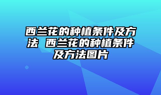 西兰花的种植条件及方法 西兰花的种植条件及方法图片