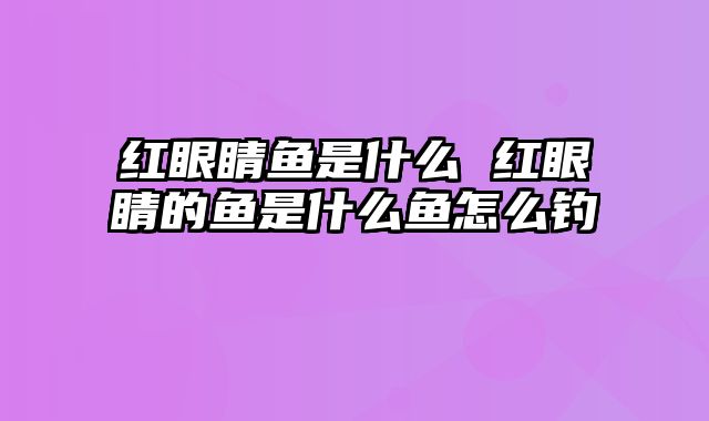 红眼睛鱼是什么 红眼睛的鱼是什么鱼怎么钓