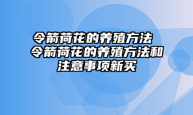 令箭荷花的养殖方法 令箭荷花的养殖方法和注意事项新买