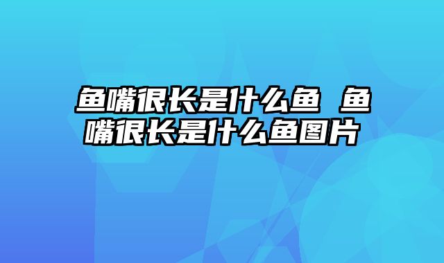 鱼嘴很长是什么鱼 鱼嘴很长是什么鱼图片