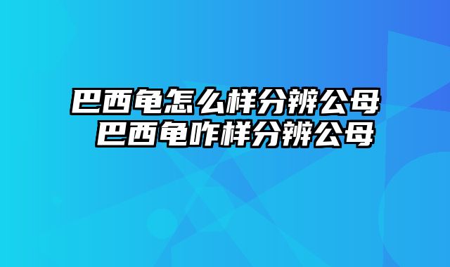 巴西龟怎么样分辨公母 巴西龟咋样分辨公母