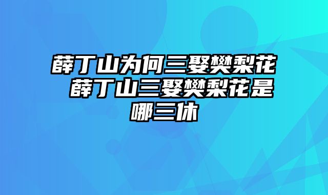 薛丁山为何三娶樊梨花 薛丁山三娶樊梨花是哪三休