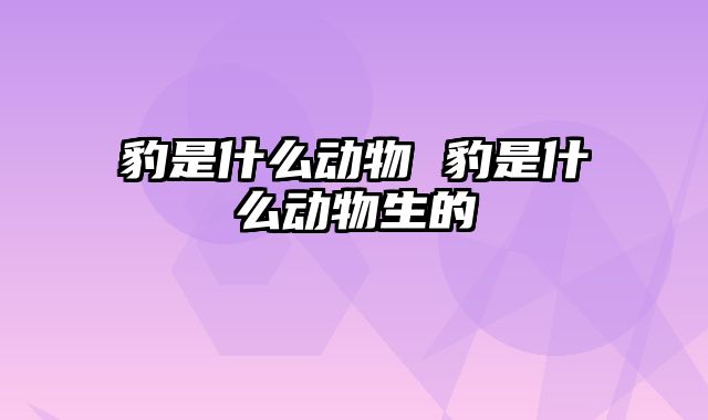 豹是什么动物 豹是什么动物生的