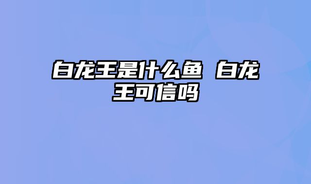 白龙王是什么鱼 白龙王可信吗