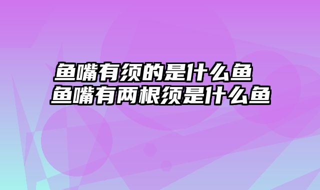 鱼嘴有须的是什么鱼 鱼嘴有两根须是什么鱼