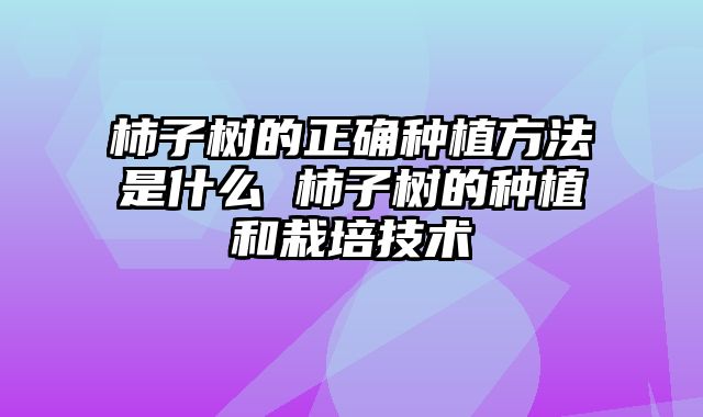 柿子树的正确种植方法是什么 柿子树的种植和栽培技术