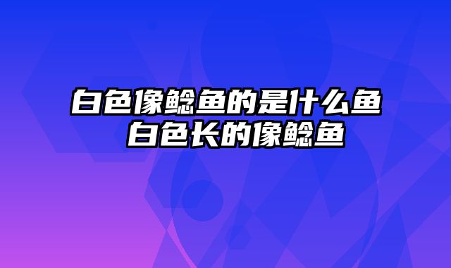 白色像鲶鱼的是什么鱼 白色长的像鲶鱼