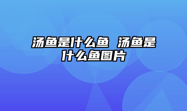 汤鱼是什么鱼 汤鱼是什么鱼图片