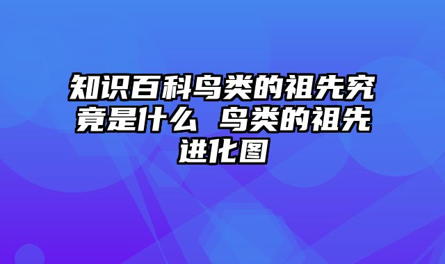 知识百科鸟类的祖先究竟是什么 鸟类的祖先进化图