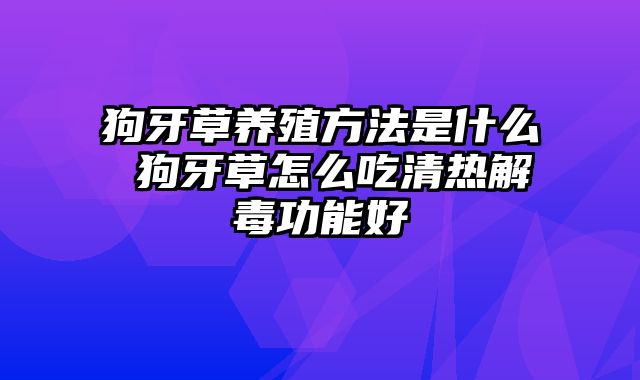 狗牙草养殖方法是什么 狗牙草怎么吃清热解毒功能好