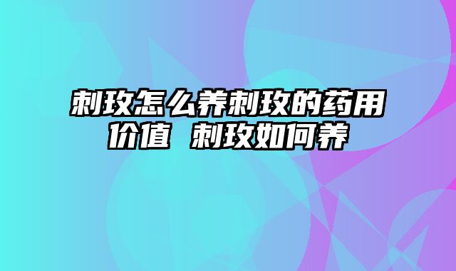 刺玫怎么养刺玫的药用价值 刺玫如何养