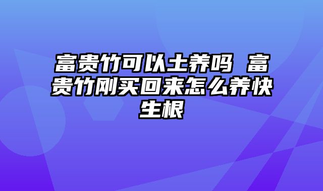 富贵竹可以土养吗 富贵竹刚买回来怎么养快生根