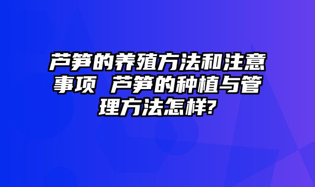 芦笋的养殖方法和注意事项 芦笋的种植与管理方法怎样?